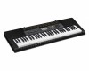 ���������� Casio CTK-2500