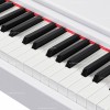 �������� ���������� EMILY PIANO D-51 WH