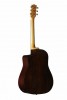������ Maton TE1
