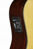 ������ Maton TE1