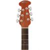 Applause AB24A-5 Balladeer Mid Cutaway Black ������������ ������ � �������