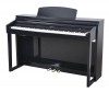 Artesia DP-150E Black �������� ����������
