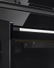 Celviano GP-510BP, �������� ����������