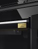 Celviano GP-510BP, �������� ����������