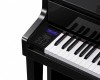 Celviano GP-510BP, �������� ����������