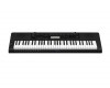 ���������� CASIO CTK-3500