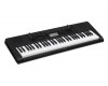 ���������� CASIO CTK-3500