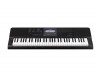���������� Casio CT-X800