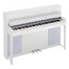 �������� ������� Kurzweil CUP1 WHP � ���������