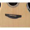 ������������������� ������ OVATION CS24L-4G Celebrity Standard Mid Cutaway Natural