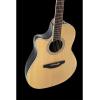 ������������������� ������ OVATION CS24L-4G Celebrity Standard Mid Cutaway Natural