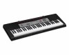 ���������� Casio CTK-1500/1550