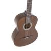 GEWApure Classical Guitar Basic Honey Walnut 4/4 ������������ ������ 4/4