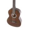 GEWApure Classical Guitar Basic Honey Walnut 4/4 ������������ ������ 4/4