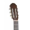GEWApure Classical Guitar Basic Honey Walnut 4/4 ������������ ������ 4/4