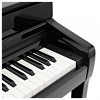 �������� ������� Kawai CA79R