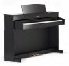 �������� ������� Kawai CS4