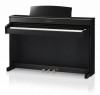 �������� ������� Kawai CS4