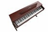 �������� ������� Kurzweil M110 SM � ���������