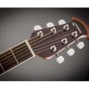 Ovation CS24-RR Celebrity Standard Mid Cutaway Ruby Red ������������������� ������ � �������