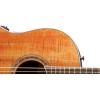 Ovation CS24P-FKOA Celebrity Standard Plus Mid Cutaway Figured Koa ������ ������������������� � �������