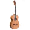 PRUDENCIO SAEZ 3-PS (270) Cedar Top ������ ������������