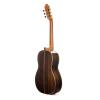 PRUDENCIO SAEZ 5-PS (138) Cedar Top ������ ������������