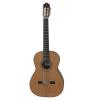 PRUDENCIO SAEZ 6-M Cedar Top ������ ������������