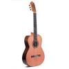PRUDENCIO SAEZ 6-PS (132) Cedar Top ������ ������������