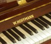������������ ������� W. Hoffmann T-122 ������� ������ (�����)