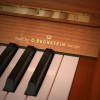 ������������ ������� W. Hoffmann T-122 �����