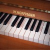 ������������ ������� W. Hoffmann T-122 �����