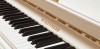 ������������ ������� W. Hoffmann T-128 �����