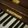������������ ������� W. Hoffmann T-128 ������� ������ (�����)