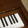 ������������ ������� W. Hoffmann T-128 ����