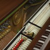 ������������ ������� W. Hoffmann T-128 ����