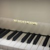 ����� W. Hoffmann  T-161 �����