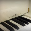 ����� W. Hoffmann  T-161 �����