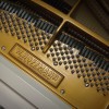 ����� W. Hoffmann  T-161 �����