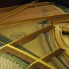 ����� W. Hoffmann  T-161 �����