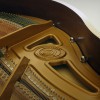 ����� W. Hoffmann  T-161 �����
