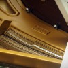 ����� W. Hoffmann  T-161 �����