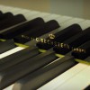 ����� W. Hoffmann T-186 ������