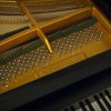 ����� W. Hoffmann T-186 ������