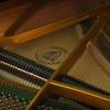 ����� W. Hoffmann T-186 ������