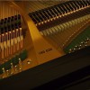 ����� W. Hoffmann T-186 ������