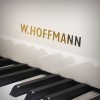 ����� W. Hoffmann V-158 �����