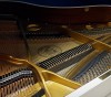 ����� W. Hoffmann V-158 �����