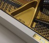 ����� W. Hoffmann V-158 �����