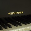 ����� W. Hoffmann V-158 ������